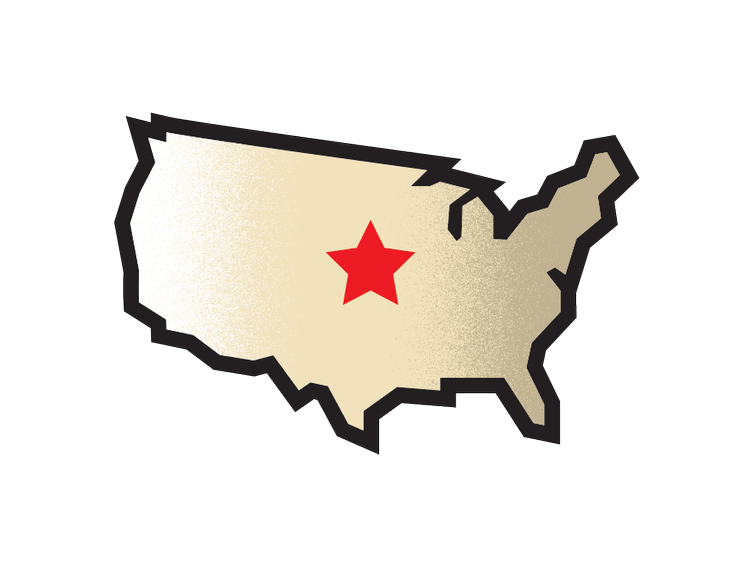 USA Map Icon