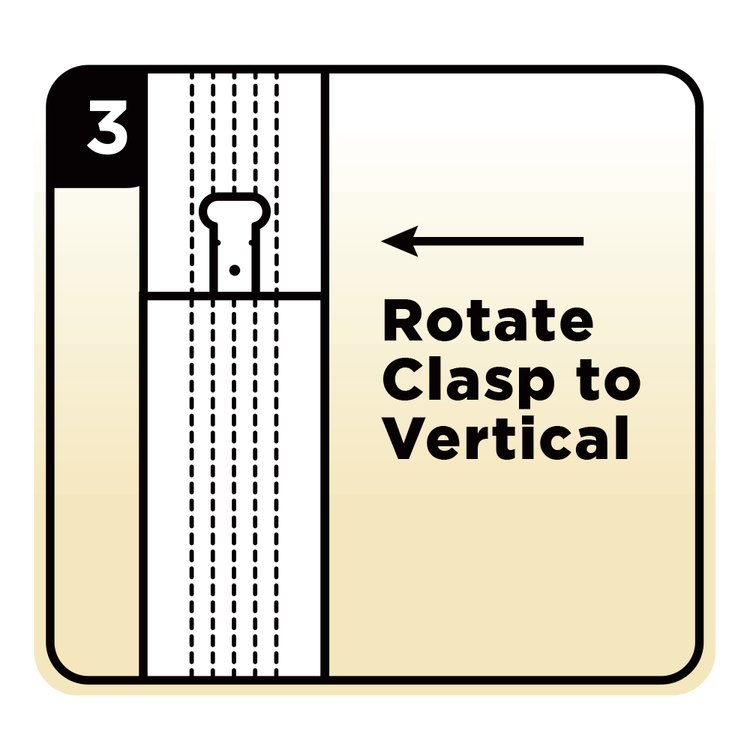 Optional Step 3